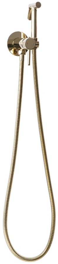 Rea Loop rubinetto per bidet da incasso oro REA-B8979