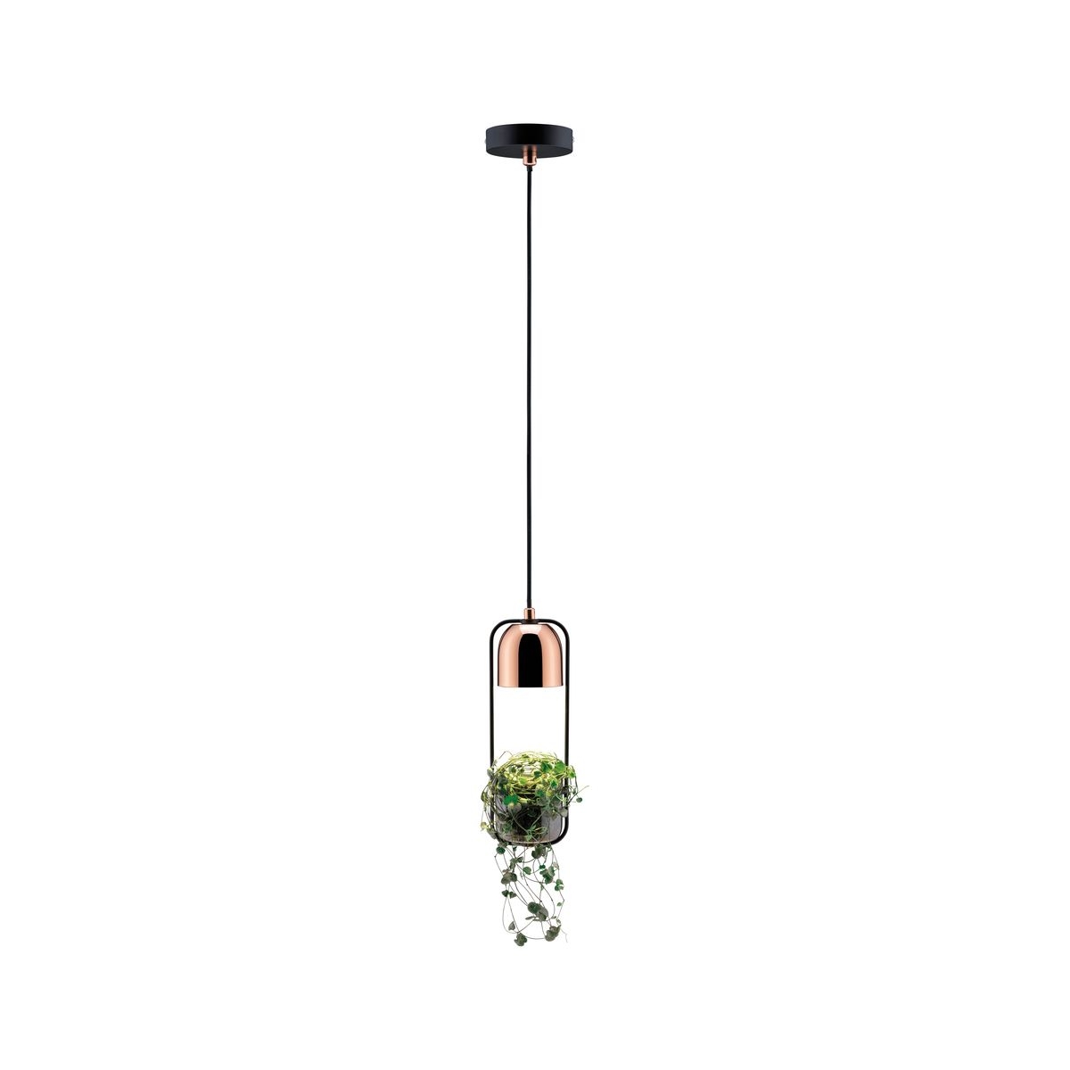 Paulmann Neordic lampada sospesa 1x20 W nero-rame 79749