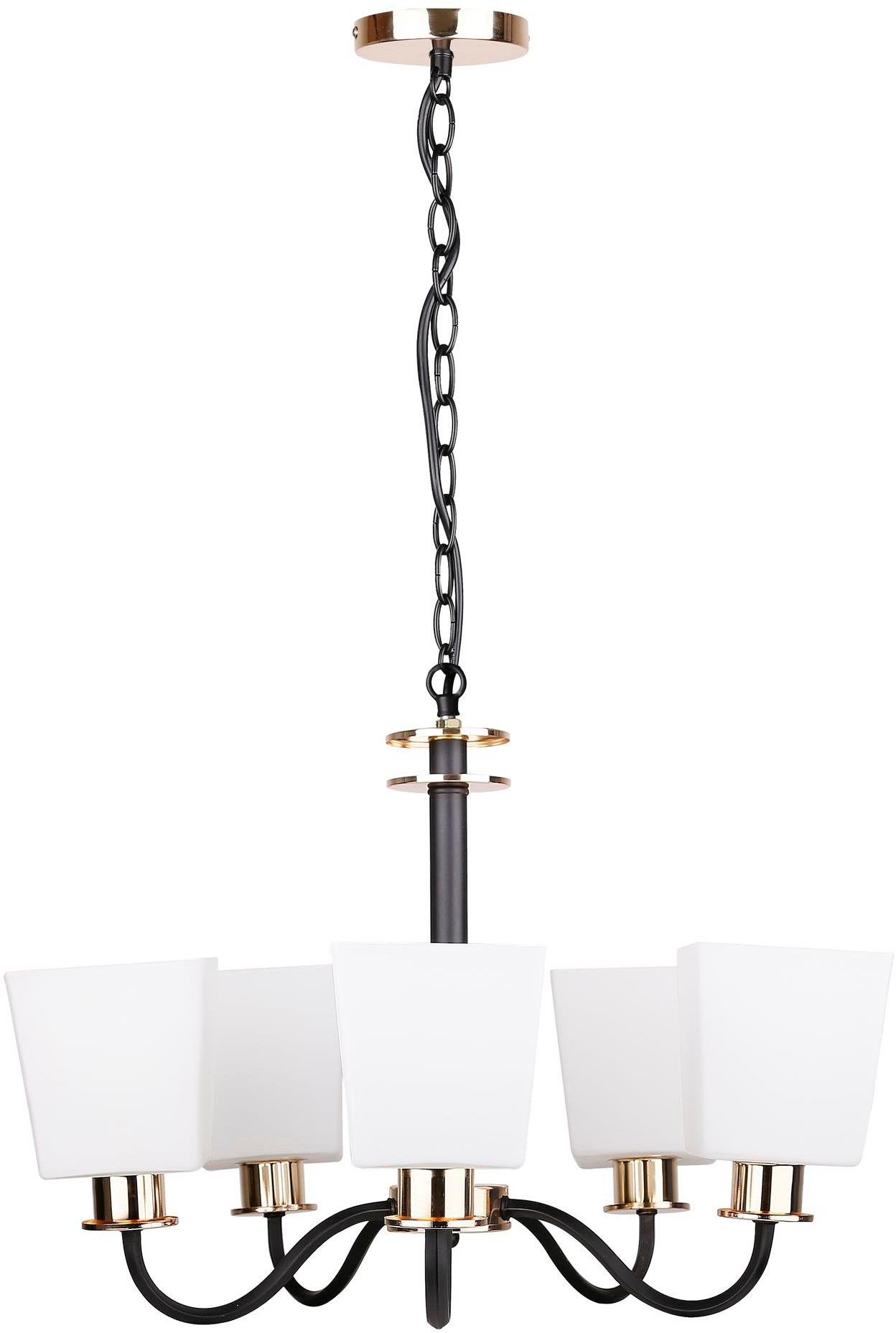 Candellux Schubert lampada sospesa 5x60 W nero-oro 35-74249