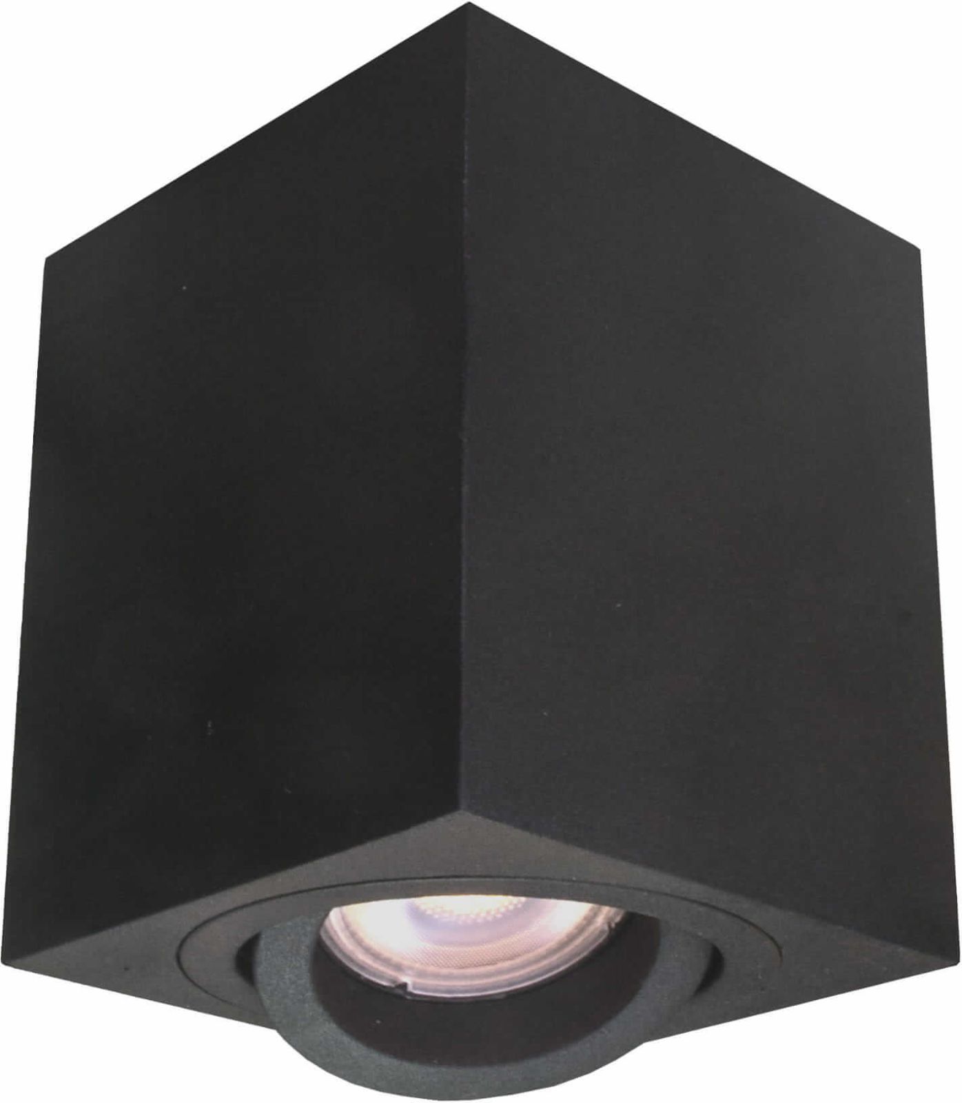 Light Prestige Lyon lampada da soffitto 1x50 W nero LP-5881/1SMBK
