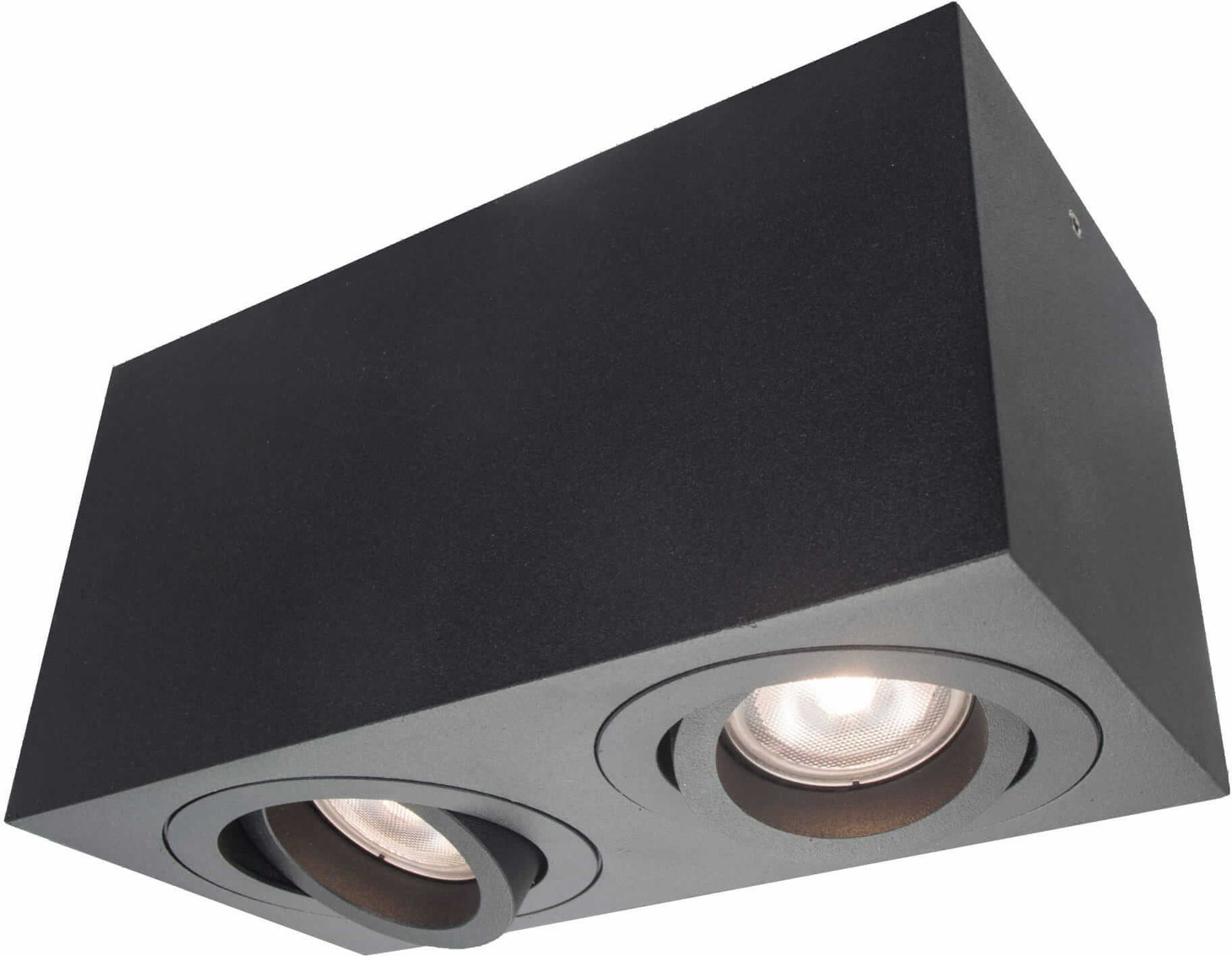 Light Prestige Lyon lampada da soffitto 2x50 W nero LP-5881/2SMBK