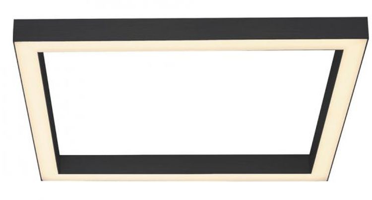 Paul Neuhaus Pure-Lines plafoniera 1x29 W grigio 6022-13