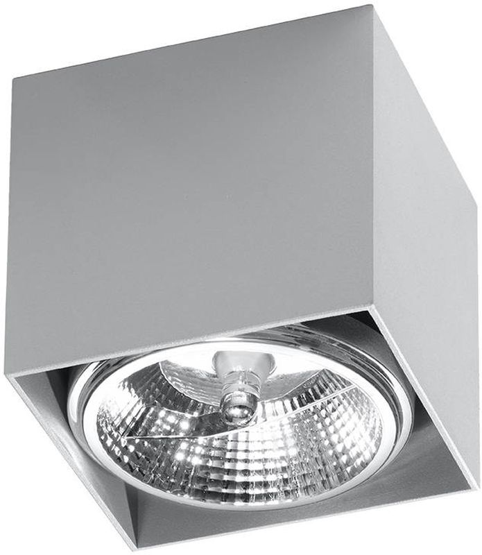 Sollux Lighting Blake lampada da soffitto 1x40 W grigio SL.0699