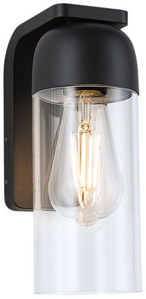 Paulmann Lantea lampada da parete per esterni 1x15 W trasparente-grafite 94399
