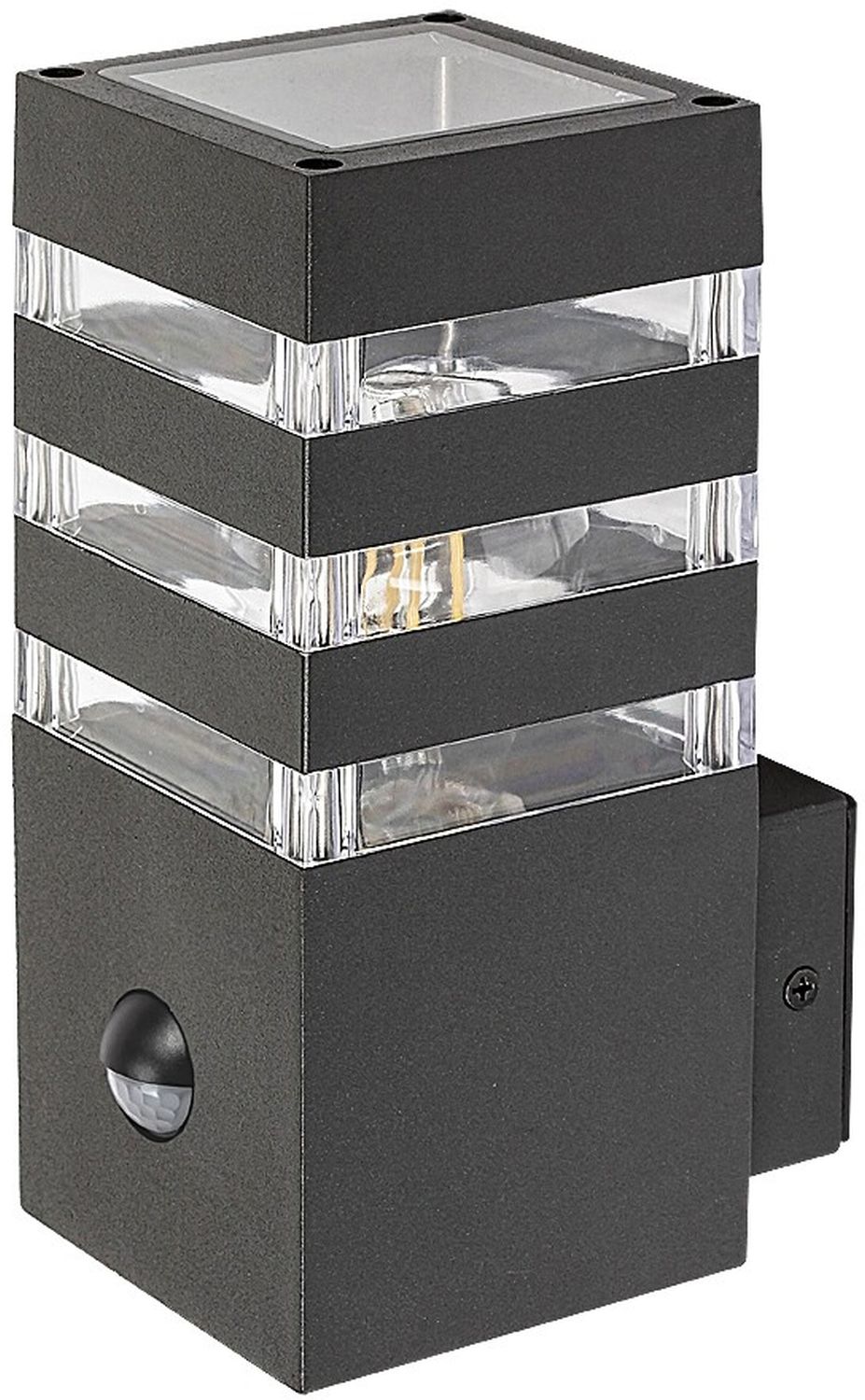 Rabalux Ankara lampada da parete per esterni 1x12 W trasparente-antracite 77025
