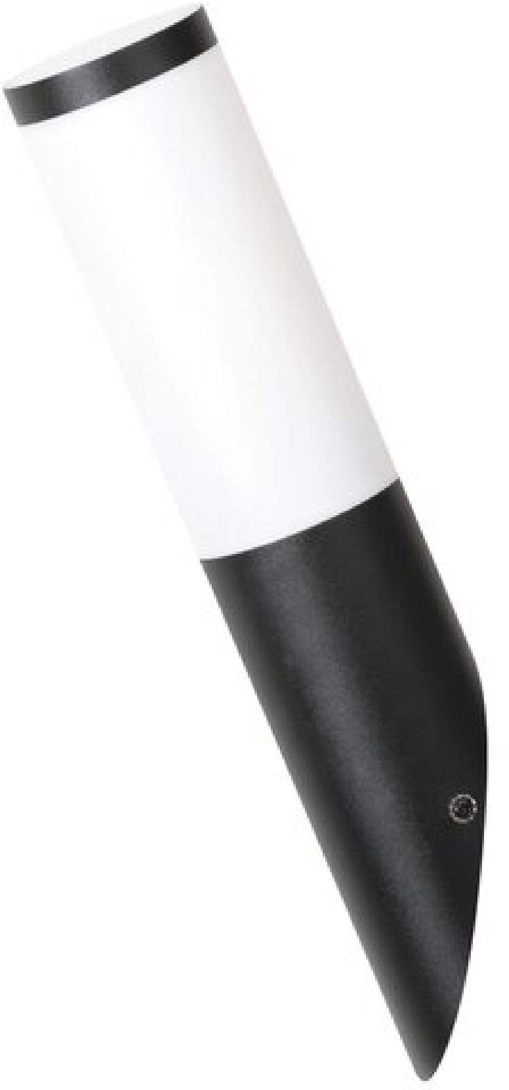 Rabalux Black torch lampada da parete per esterni 1x25 W nero 8145