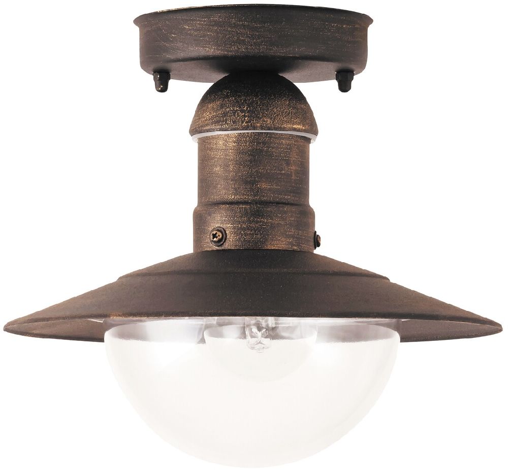 Rabalux Oslo lampada da soffitto per esterni 1x60 W oro 8736