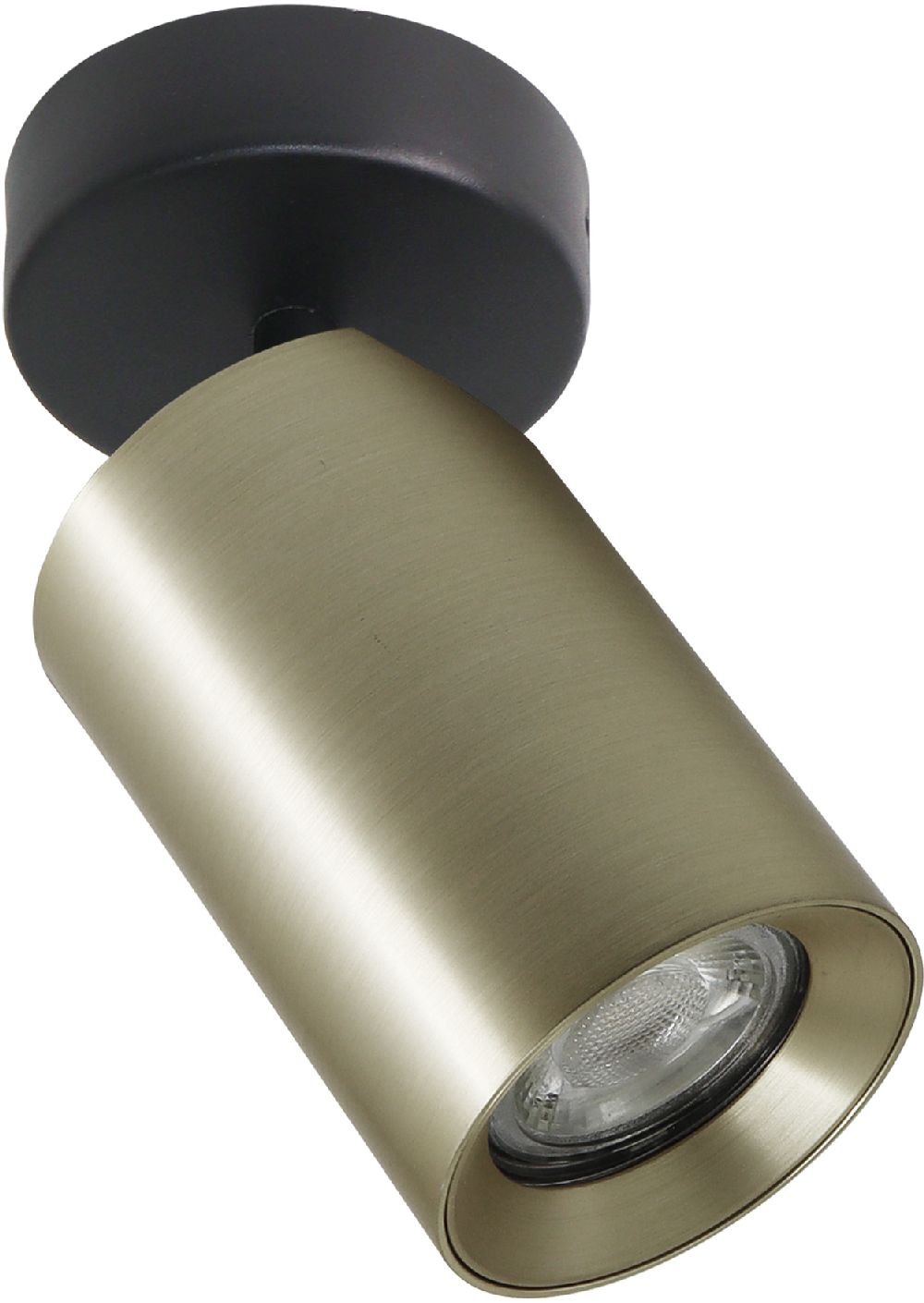 Zuma Line Tore lampada da soffitto 1x50 W oro TLS006-GLD