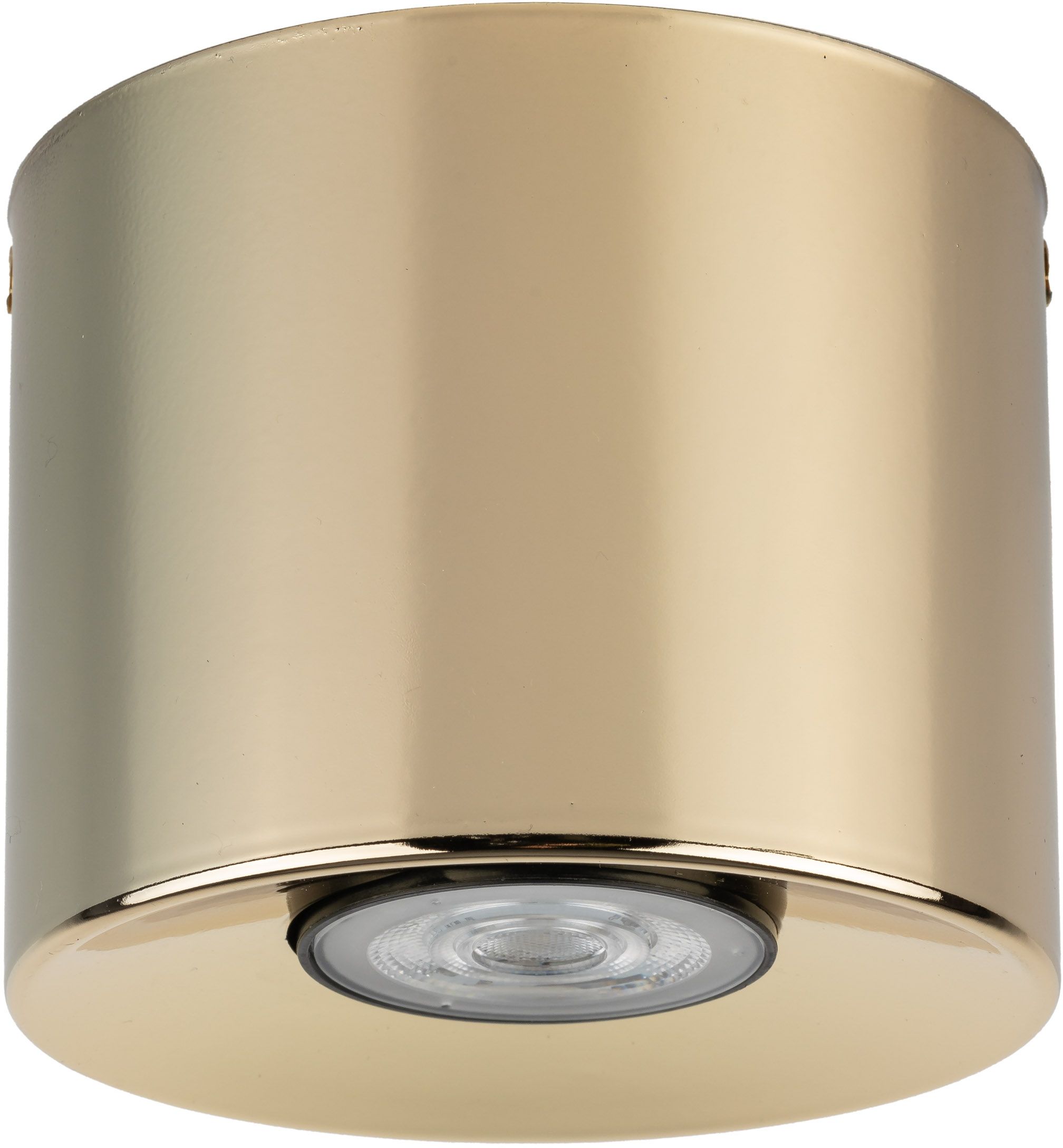 TK Lighting Orion lampada da soffitto 1x10 W oro 10128