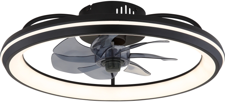 Globo Lighting Celeste lampada da soffitto 1x40 W nero 03643