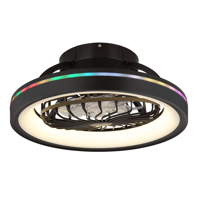 Globo Lighting Deanne lampada da soffitto 1x40 W nero 03665