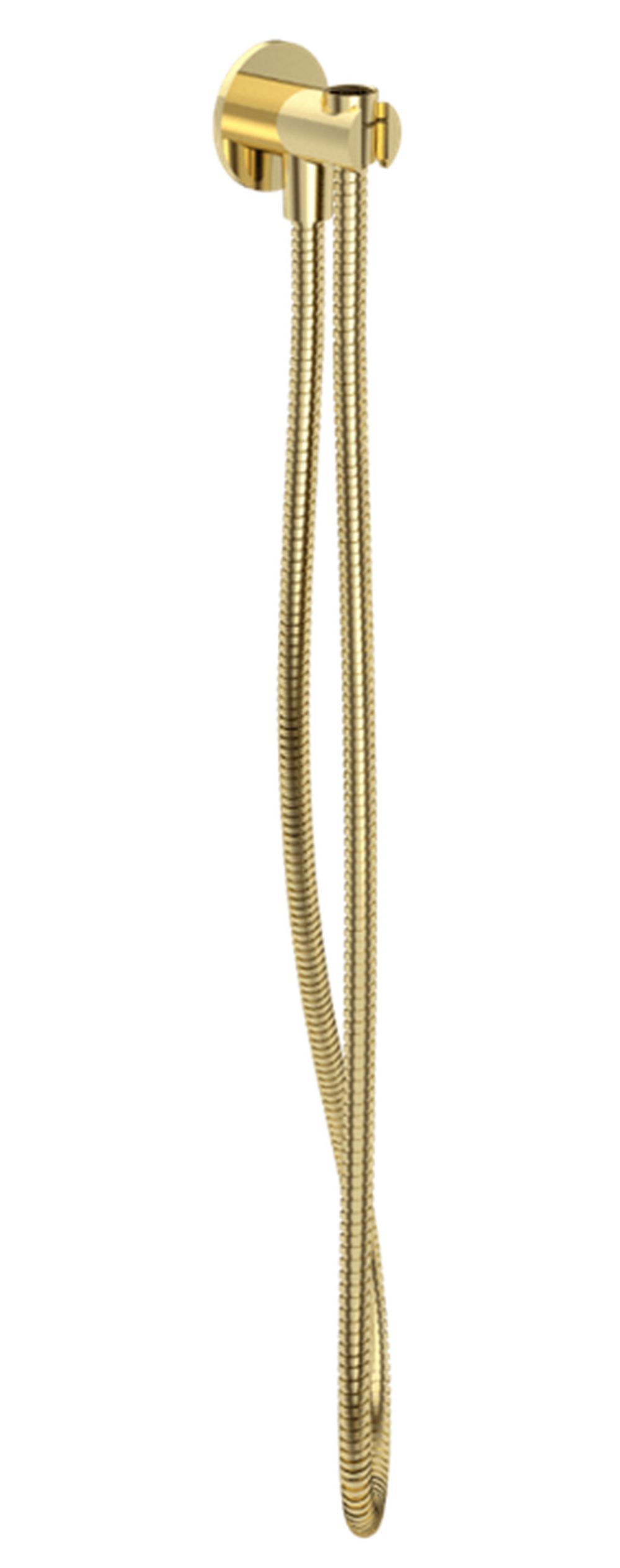 Excellent Pi collegamento del tubo flessibile con maniglia da incasso oro AREX.1241GL