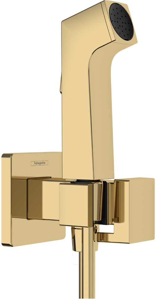 Hansgrohe Bidette set doccetta bidet a parete oro 29231990