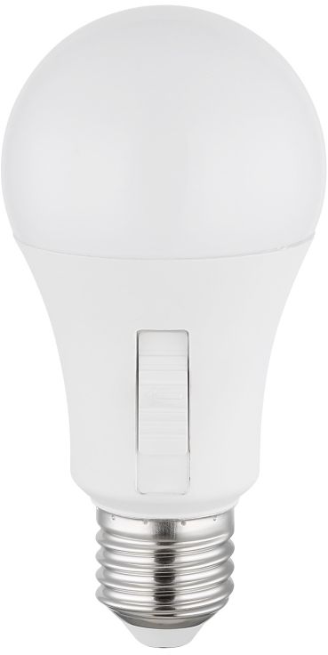 Globo Lighting Bulb lampadina led 1x9 W K E27 10615