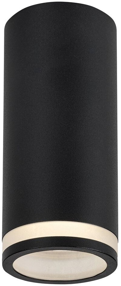 Rabalux Senobia lampada da soffitto 1x35 W nero 73030