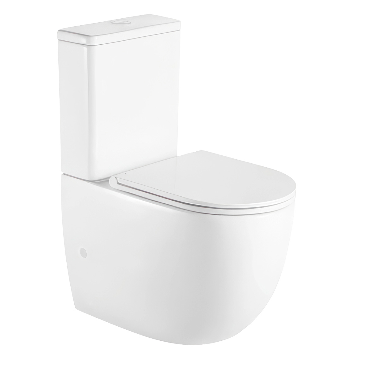 Set WC monoblocco Oltens Hamnes 44501000, copriwater Oltens Hamnes 45111000