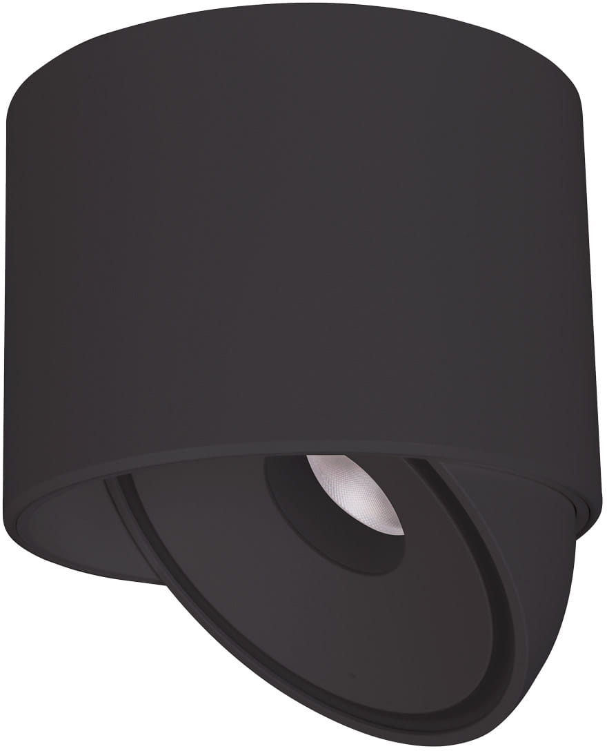 MaxLight Vector lampada da soffitto 1x10 W nero C0266