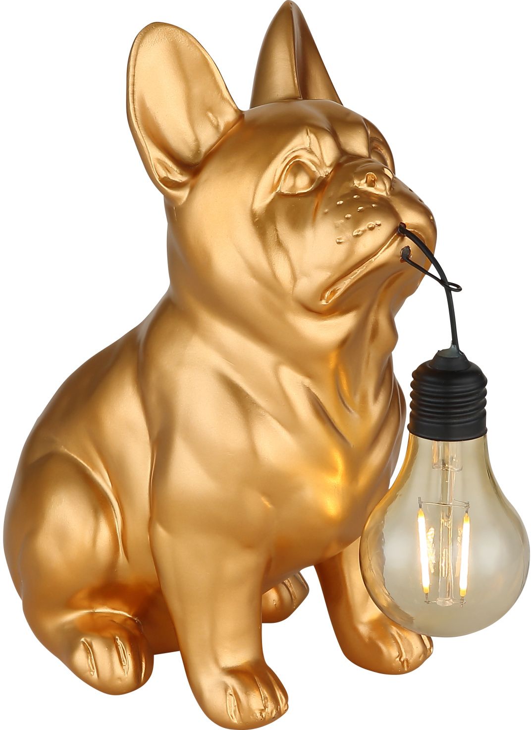 Globo Lighting Solar lampada da terra 1x0.06 W oro 36333G