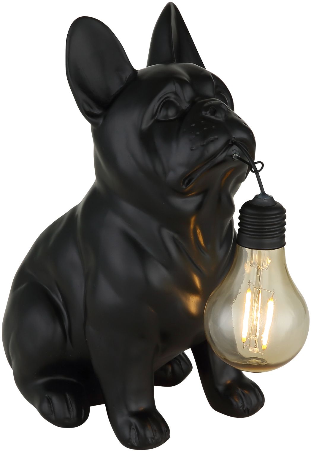 Globo Lighting Solar lampada da terra 1x0.06 W nero 36333S