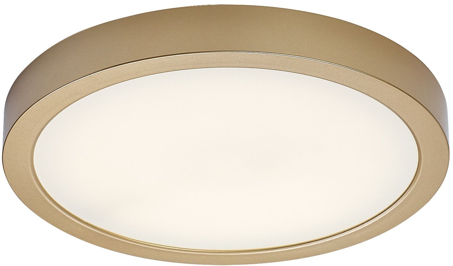 Rabalux Shaun Plus plafoniera per esterni 1x30 W oro 75079