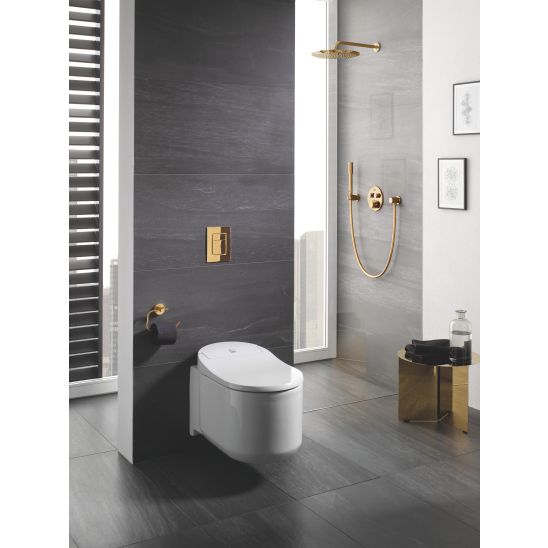 Set placca di comando Grohe Skate 38732GL0, scopino WC Grohe Essentials 40374GL1, 40689GL1, 40364GL1