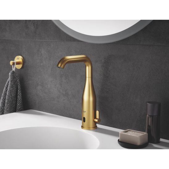 Set placca di comando Grohe Skate 38732GN0, scopino WC Grohe Essentials 40374GN1, 40689GN1, 40364GN1