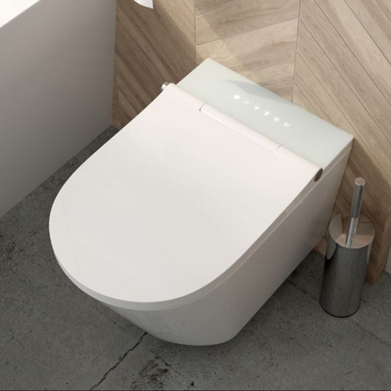 Set vaso con sedile bidet Oltens SmartFrisk 42038000, modulo di installazione Oltens Triberg 50001000, 59019000