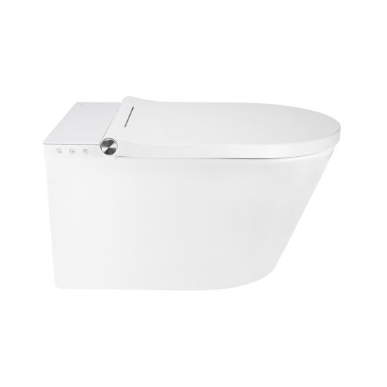 Set vaso con sedile bidet Oltens SmartFrisk 42038000, modulo di installazione Oltens Triberg 50001000, 59019000