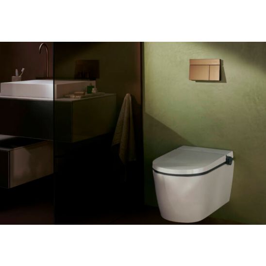 Set vaso WC con copriwater a discesa lenta Hansgrohe EluPura Q 60293450, placca di comando Hansgrohe Element E 66003140, 01022180