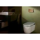 Set vaso WC con copriwater a discesa lenta Hansgrohe EluPura Q 60293450, placca di comando Hansgrohe Element E 66003140, 01022180