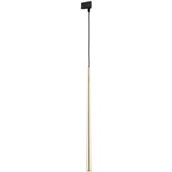 TK Lighting Piano lampada per binario elettrificato 1x6 W nero-oro 6029