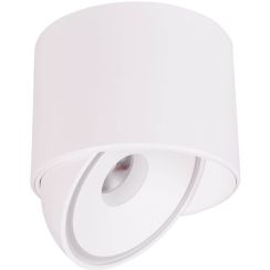 MaxLight Vector lampada da soffitto 1x10 W bianco C0265