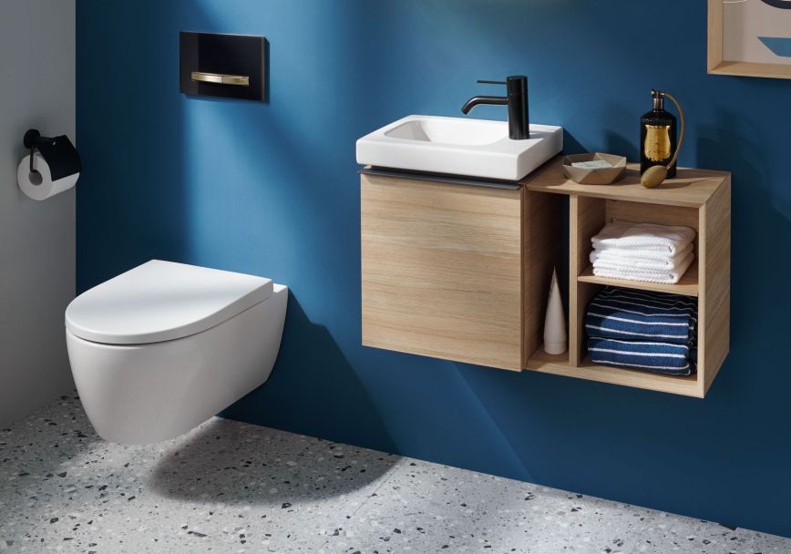 Come eliminare i pesciolini d'argento dal bagno?